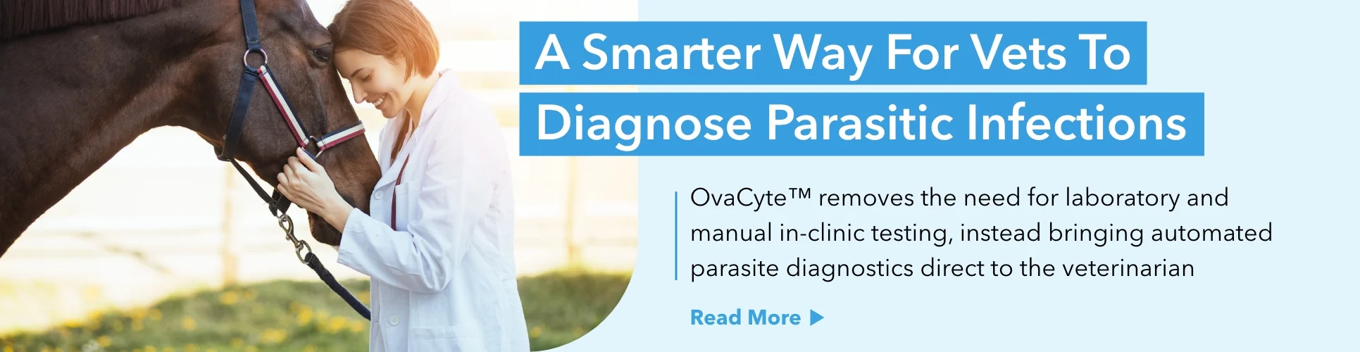 A smarter way for vets to diagnose parasitic infections