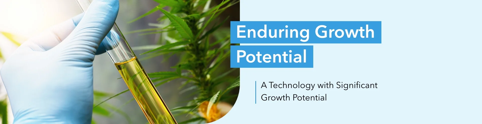 Enduring Growth Potential