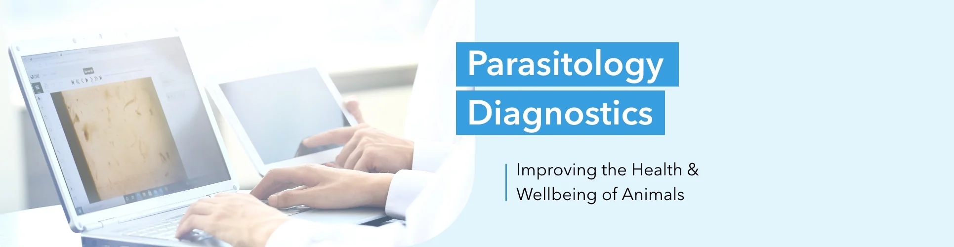 Parasitology Diagnostics