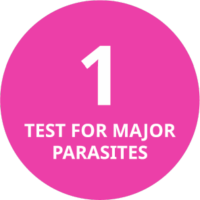Test for Major Parasites Test for Major Parasites