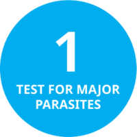Test For Major Parasites Test For Major Parasites